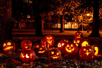 Halloween- Deko- Outdoor