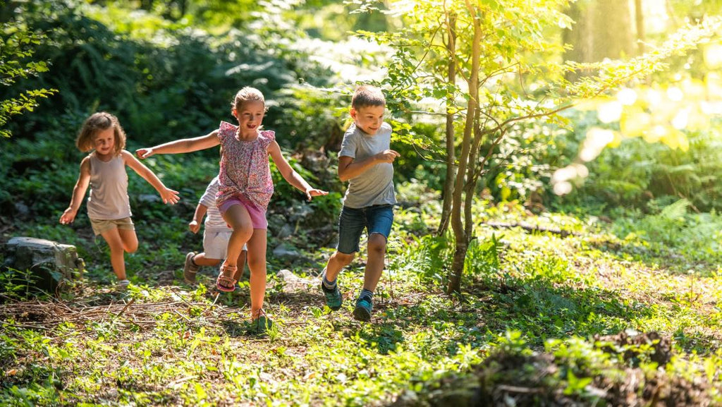 Spannende Spielideen im Wald