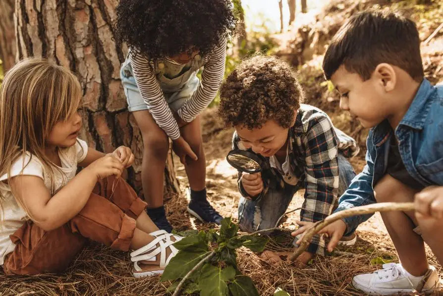 Abenteuer im Grünen: Spannende Schnitzeljagd-Ideen für den Wald