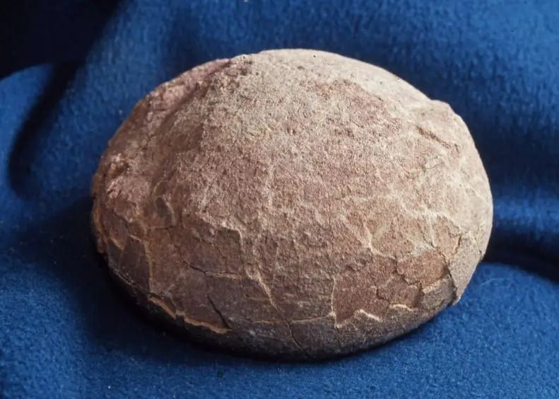 Dino-Eier Basteln