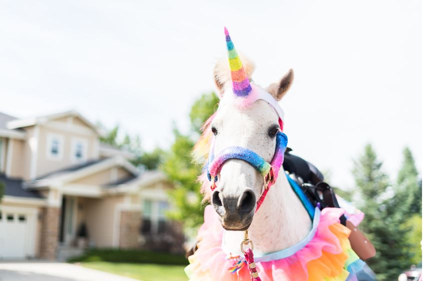 Einhorn-Schnitzeljagd: Verwandle deinen Kindergeburtstag in ein magisches Abenteuer!