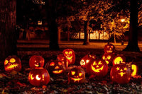 Halloween Deko Outdoor - schnitzeljagd-kinder