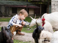 Kindergeburtstag Bauernhof - schnitzeljagd-kinder