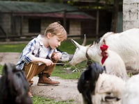 Kindergeburtstag Bauernhof - schnitzeljagd-kinder