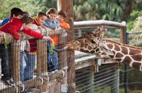 Kindergeburtstag mit wilden Tieren- So gelingt die Planung für den Zoo-Besuch