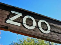 Papier-Zoo basteln: So erschaffen Kinder ihre eigene Tierwelt aus einfachen Grundformen - schnitzeljagd-kinder
