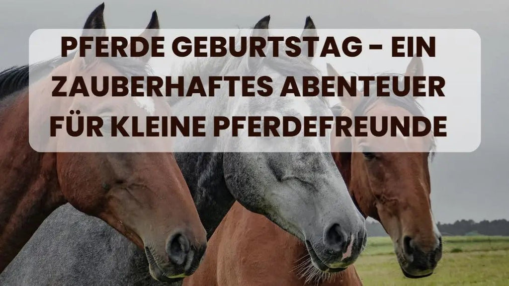 Pferde Geburtstag - Ein zauberhaftes Abenteuer für kleine Pferdefreunde