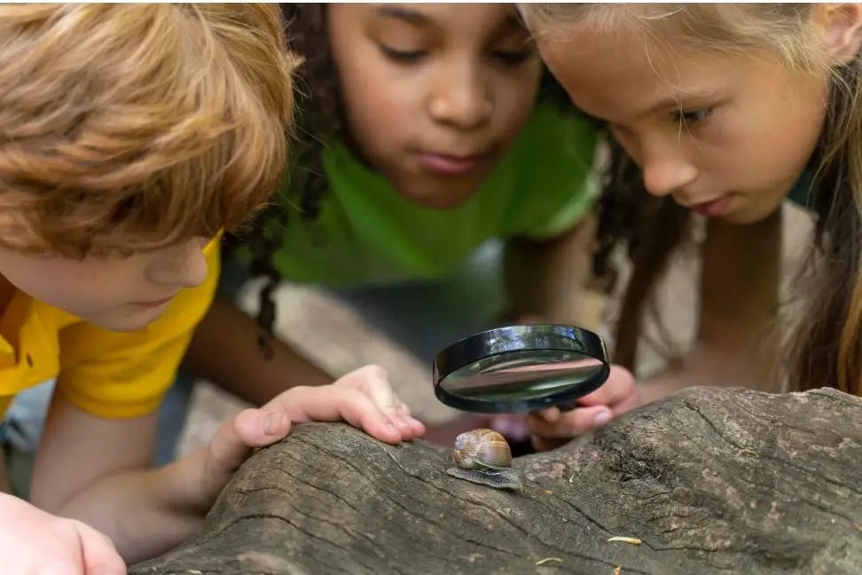 Raus ins Grüne: Spannende Natur Schatzsuche Ideen für Kindergarten & Grundschule zum Entdecken und Lernen