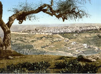 Reise Nach Jerusalem Geburtstag Aufgaben - schnitzeljagd-kinder