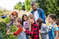 Schatzsuche Kindergeburtstag Aufgaben - schnitzeljagd-kinder