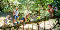 Schnitzeljagd im Wald - schnitzeljagd-kinder