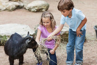 Tierisch guter Spaß: Den perfekten Kindergeburtstag im Streichelzoo planen - schnitzeljagd-kinder