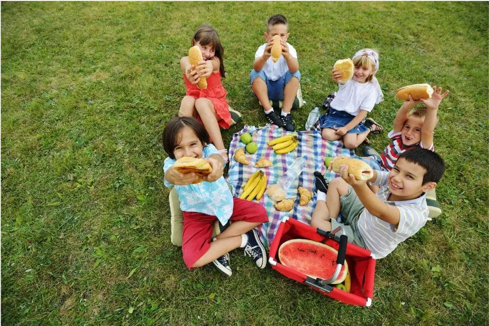 Unvergesslicher Kindergeburtstag: Picknick im Grünen planen