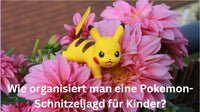 Wie organisiert man eine Pokemon-Schnitzeljagd für Kinder? - schnitzeljagd-kinder