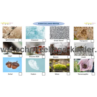 Schnitzeljagd Vorlagen gratis: So gestaltest du die perfekte Schatzsuche für Kindergeburtstage und Familienausflüge