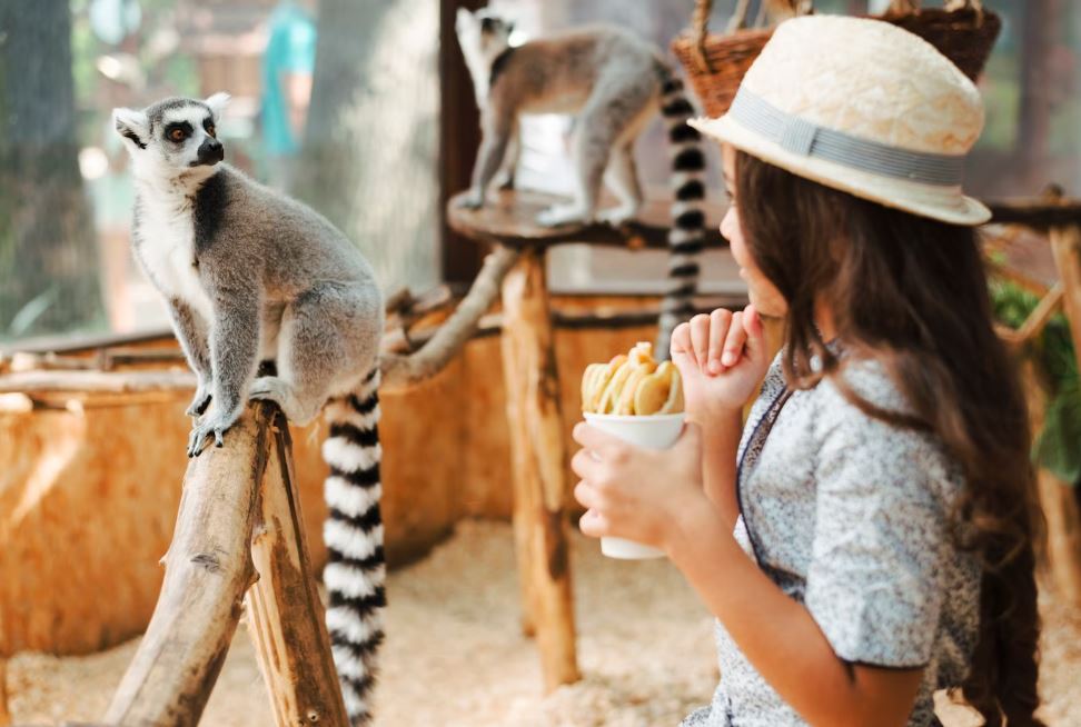 Zoo-Schatzsuche im Wald