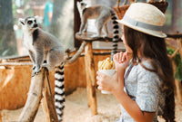 Zoo-Schatzsuche im Wald - schnitzeljagd-kinder