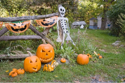 Halloween Deko Outdoor
