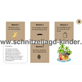 Die Schatzinsel der Piraten und Prinzessinnen SCHNITZELJAGD - SCHATZSUCHE KINDERGEBURTSTAG-6-9 JAHREN - SCHNITZELJAGD AUFGABEN ZUM AUSDRUCKEN PDF - schnitzeljagd-kinder