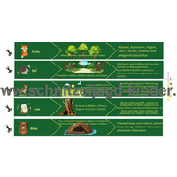 WALD SCHNITZELJAGD -8-9 JAHREN - SCHNITZELJAGD AUFGABEN ZUM AUSDRUCKEN PDF - schnitzeljagd-kinder